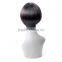 HOT SALE Newest Fashion 92g 10inch synthetic fiber silk straight short wig