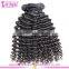 8A grade wet and wavy deep curly hair cheap high quality malaysian deep curly hair wholesale different types of curly weave hair