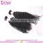 Virgin Hair Wholesale Suppliers Dealer Attachment 8-32" Mongolian Kinky Curly Human Hair