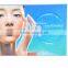 Handheld Facial hold and cold hammer Beauty Equipment