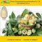 GMP Factory Supply Free Sample 50% 60% Garcinia Cambogia Extract