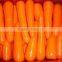 China Fresh Carrot