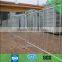 Pool Temporary privacy fencing panel