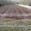 Drip Irrigation Kit Soaker Hose 20 Rows Watering System Drip Tape