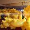 254Cm Giant Pool float Inflatable Yellow Duck with Glasses pvc Swimming Pool Toy in Factory stock