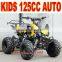 Kids 125cc On ATV
