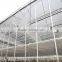 Multi Span Plastic Roofing Sheets Agricultural Commercial Greenhouses for sale