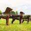 FO-9S02 High Quality Corten Steel Sculpture For Garden Decoration 2017