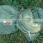 Outdoor cheap green color camping change dressing tent for hot sale
