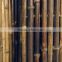 Curtain Big Black Fence 10' x 30/35mm canes moso bamboo pole