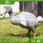 KAWAH Garden Decoration Customized Attractive Artificial Animatronic Bird
