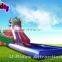 Gragon Monster Inflatable Water Park Slides For water park