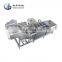 Water Spray Ozone Bubble Carrot Washing Machine Vegetable Cleaning Machine