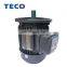 TECO brand Aluminum Frame Squirrel Cage Induction Brake Motors