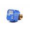 brass motorized ball valve mini electric actuator water control valve 3v 5v 6v 12v 24v 110v 220v DN15 DN20 DN25
