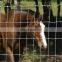 Cheap livestock sheep farm fence roll for sale