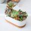 New Product Pots & Planters Groot Decorative Rectangle Metal Modern Garden Cheap Ceramic Succulent Natural Flower Pot