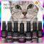 Factory price bling color glitter uv gel nails polish cat eyes gel nail polish
