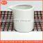 small ceramic jar unique ceramic milk jar wholesale good price porcelain milk pot