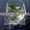 GH-RZ393 2014 factory direct sale Shatterproof design acrylic fishbowl,small fishbowl