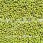 heilongjiang green mung beans ( food grade)
