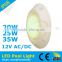 ce rohs approved new design price cheap remote control plastic energy efficient waterproof led light for swimming pool