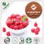 Manufacturer Supply Raspberry Fruit Extract Powder