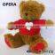 EN71 Standard Stuffed Teddy Bear Factory China