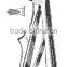 Dental Extracting Forceps Children Pattern Child's Lower Molars Fig 6