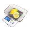 Made In China Electronic Diamond Weighting Scale