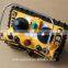 F24-60 Overhead Crane Joystick Remote Controller