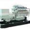 250KW German original MAN natural gas generator                        
                                                Quality Choice