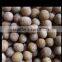 nut coating machine