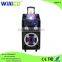 4 ohm enjoy mini music speaker with colorful light WWP-6