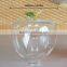3D Gold Foil Stem Piggy Bank Tansparent Apple Money Box
