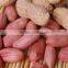 Dry Roasted Peanut Peeler Machine India Peanut Red Skin Peeling Machine For Roasted Peanut