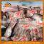 3D Quality-Assured Cartoon Character Bedding
