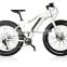 fat tire beach cruiser electric bicycle bike with CE EN15194 ( HJ-M21 )