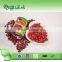 Good Canned Red Kidney Beans Price