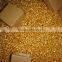 on Sale Under Packing Brass Machine Screw DIN963 With Best Price