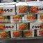 China fresh bulk carrot to the world