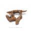 Lowest Price Premium Dried Galangal Roots