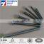  china common nail iron nail factory price