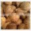 excellence coconut exporter
