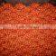 New Red Onion Yellow Onion Wholesale Price