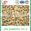 High quality blanched peanut kernel in bulk with best price from China
