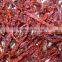 Indian Red Dry Chilli