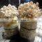 king oyster mushroom spawn growing kit