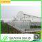 Quickly Delvery China Greenhouse for Commerical