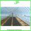Vegetable Commercial Greenhouse for Sale